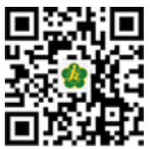 图片[2]_深圳市残疾人联合会_恩V导图